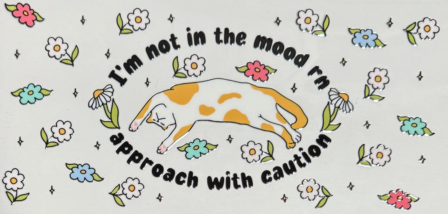 [Double-Sided] Approach with Caution Kitty CYO 16oz Glass Can Only*